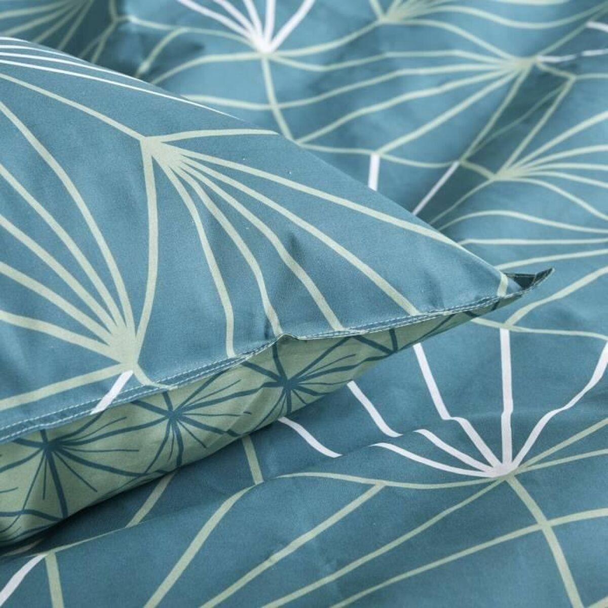 V2HCA0E582BB56455FD06E689916236712BR7367448P2