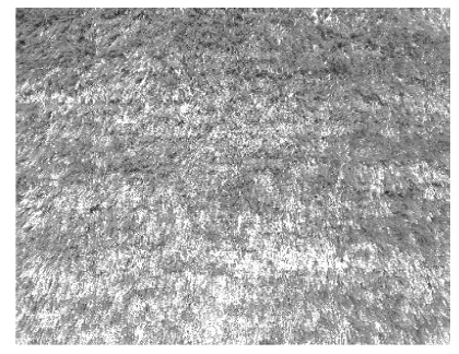 Passadeira POLO Lisa