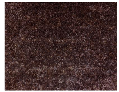 Passadeira POLO Lisa