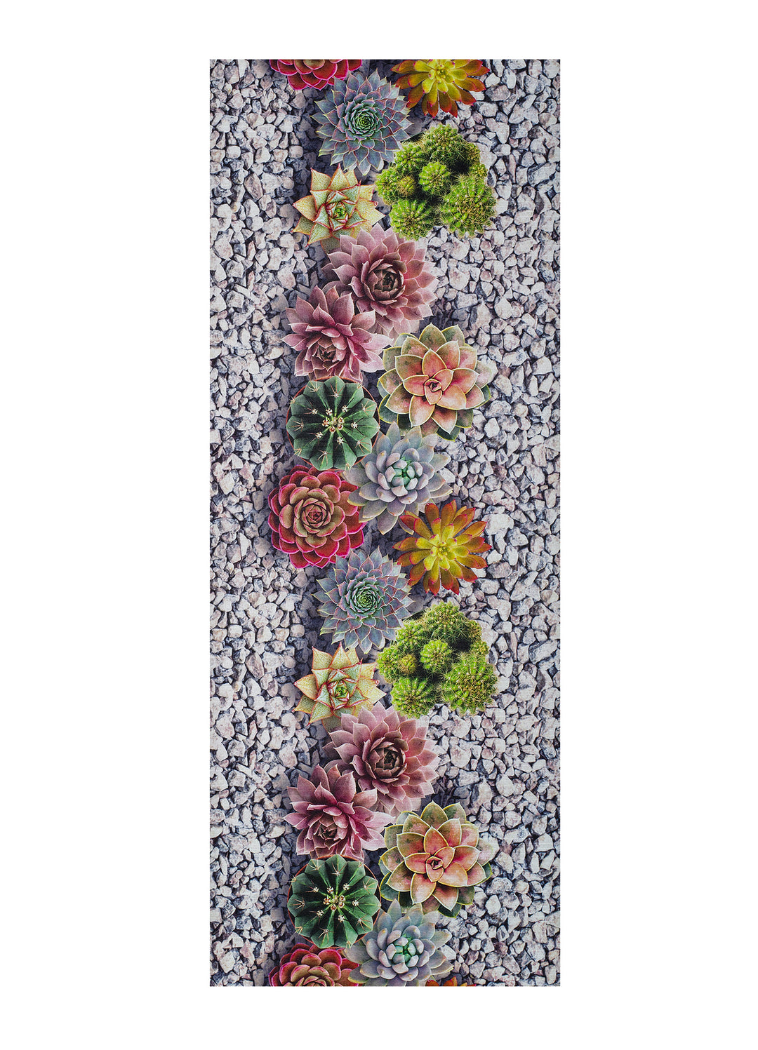 Passadeira Cozinha SPRINTY CACTUS